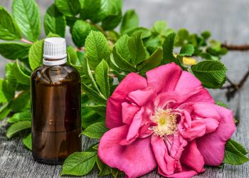 Olejek różany