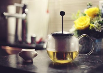 Filiżanka zielonej herbaty IRVING uzupełnieniem diety odchudzającej