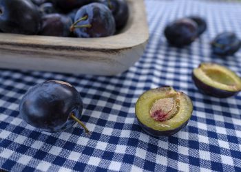 Śliwkami jesień się zaczyna… – Świeżo Tłoczony Sok Śliwkowy Ogrody Natury