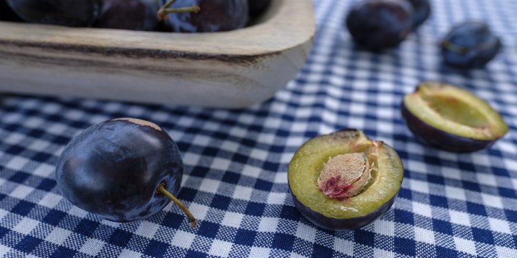 Śliwkami jesień się zaczyna… – Świeżo Tłoczony Sok Śliwkowy Ogrody Natury