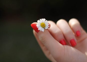 EVELINE COSMETICS błyskawiczny krem-kompres regenerujący do rąk i paznokci