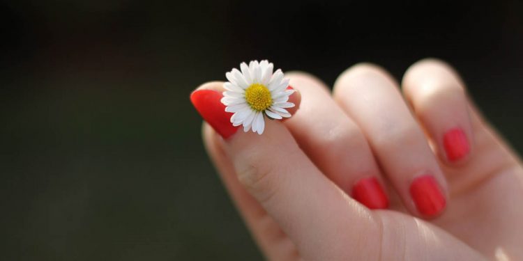 EVELINE COSMETICS błyskawiczny krem-kompres regenerujący do rąk i paznokci