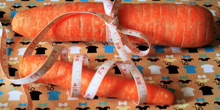 doradztwo żywieniowe